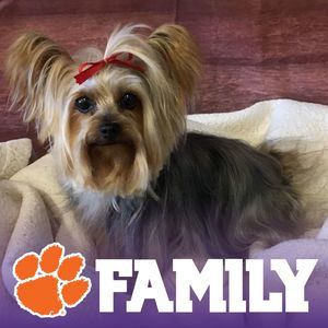 Meet your Posher, Connie